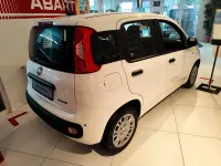 Neu Fiat Panda Icon 65 PS (47 kW) 2026 Weiß Kleinwagen