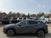 Gebraucht Lexus UX 250h 184 PS (135 kW) 2024 Grau SUV