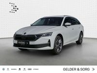 Neu Skoda Octavia 150 PS (110 kW) 2026 Moonweiß perleffekt Kombi