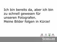 Gebraucht Skoda Octavia Soleil 150 PS (110 kW) 2020 Schwarz (metallic) Kombi