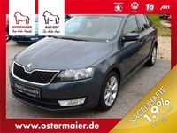 Gebraucht Skoda Rapid Joy 116 PS (85 kW) 2016 Grau metallic Kombi