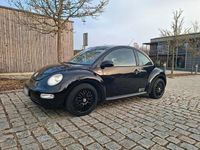 Gebraucht VW New Beetle Style 102 PS (75 kW) 2003 Schwarz Kleinwagen