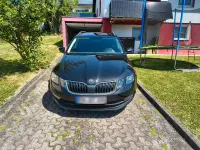 Gebraucht Skoda Octavia 116 PS (85 kW) 2019 Schwarz Kombi
