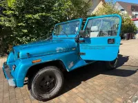 Gebraucht Jeep Wrangler 121 PS (88 kW) 1994 Blau SUV