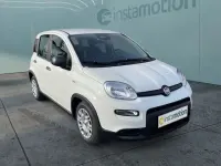 Neu Fiat Panda 69 PS (50 kW) 2025 Weiß Kleinwagen