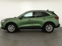 Gebraucht Ford Kuga ST-Line 186 PS (136 kW) 2025 Burstinggreenmet. SUV
