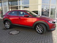 gebraucht Mazda CX-30 2.0 SKYACTIV-G M-Hybrid Selection AKTION WENIG KM