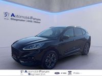 Gebraucht Ford Kuga ST-Line X 242 PS (177 kW) 2024 Obsidianschwarz metallic SUV