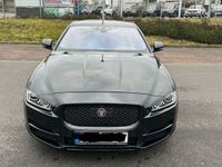 gebraucht Jaguar XE 20d 180PS Portfolio Automatik