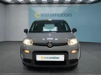 Gebraucht Fiat Panda 69 PS (50 kW) 2023 Grau Kleinwagen