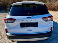 Gebraucht Ford Kuga Titanium 120 PS (88 kW) 2020 Weiß SUV