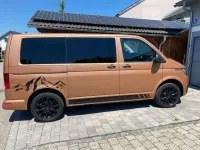 Gebraucht VW Multivan Trendline 150 PS (110 kW) 2020 Bronze Van / Kleinbus