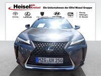 gebraucht Lexus UX 250h Executive Line/Premium/Head-Up/Schiebedach