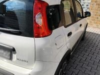 Occasion Fiat Panda 69 ch (50 kW) 2022 Blanc Citadine