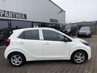 Gebraucht Kia Picanto Edition 7 67 PS (49 kW) 2019 Weiß Kleinwagen