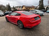 Gebraucht Ford Mustang Basis 314 PS (230 kW) 2016 Rot