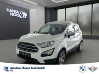 Gebraucht Ford Ecosport Cool & Connect 101 PS (74 kW) 2019 Weiss / frozen white SUV