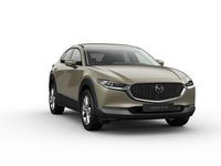 Neu Mazda CX-30 140 PS (102 kW) 2026 Braun SUV