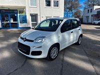 Gebraucht Fiat Panda Easy 69 PS (50 kW) 2019 Weiß Kleinwagen