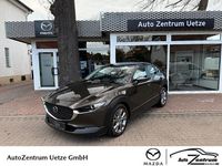 Gebraucht Mazda CX-30 Selection 122 PS (89 kW) 2022 Grau SUV
