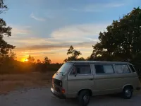 Gebraucht VW Multivan 90 PS (66 kW) 1985 Gold Van / Kleinbus