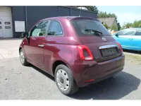 Gebraucht Fiat 500 Pop Star 69 PS (50 kW) 2016 Opera bordeau Limousine