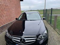 gebraucht Mercedes E300 E300 BlueTec (212.227)