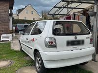 Gebraucht VW Polo 50 PS (36 kW) 1997 Weiß Kleinwagen