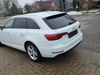 Gebraucht Audi A4 Sport 190 PS (139 kW) 2016 Weiß Kombi