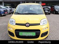 Neu Fiat Panda 69 PS (50 kW) 2025 Gelb Kleinwagen