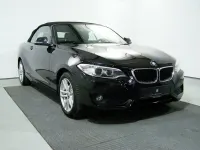 Gebraucht BMW 220 Advantage 190 PS (139 kW) 2016 Schwarz Cabrio