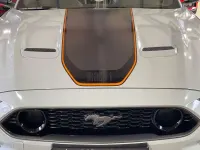 Gebraucht Ford Mustang Mach 1 460 PS (338 kW) 2023 Cactus grey Coupé