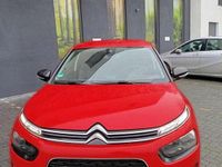 Gebraucht Citroën C4 Cactus Live 110 PS (80 kW) 2018 Kleinwagen