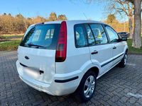 Gebraucht Ford Fusion 80 PS (58 kW) 2005 Weiß Kleinwagen