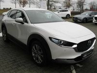 Usata Mazda CX-30 Selection 150 CV (110 kW) 2020 Bianco SUV