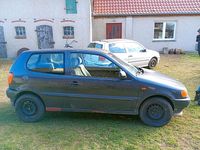 Gebraucht VW Polo 50 PS (36 kW) 2000 Grün Kleinwagen