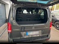 gebraucht Mercedes V250 AVANTG AMG 4WD Panorama Distronic AHK Standh.