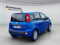Gebraucht Fiat Panda 65 PS (47 kW) 2025 Blau Kleinwagen