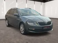 Gebraucht Skoda Octavia Clever 116 PS (85 kW) 2019 Grau Kombi