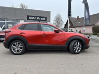 Gebraucht Mazda CX-30 Selection 122 PS (89 kW) 2020 Magmarot SUV
