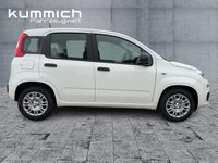 Neu Fiat Panda Icon 69 PS (50 kW) 2025 Weiß Limousine