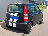 gebraucht Fiat Panda 1.2 8V Imola *Klima*