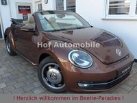 Gebraucht VW Beetle 105 PS (77 kW) 2016 Braun Kleinwagen