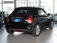 Gebraucht Mini Cooper Cabriolet Chili 136 PS (100 kW) 2019 Schwarz Cabrio