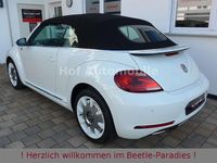 Gebraucht VW Beetle Sound 150 PS (110 kW) 2017 Weiß Kleinwagen