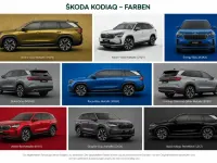 Neu Skoda Kodiaq Selection 150 PS (110 kW) 2026 SUV