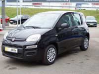 Neu Fiat Panda 69 PS (50 kW) 2025 Schwarz Kleinwagen