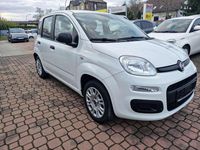 Gebraucht Fiat Panda Easy 69 PS (50 kW) 2019 Colore esterno (gelato weiss) Kleinwagen