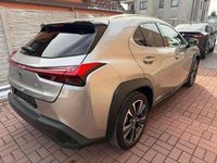 Gebraucht Lexus UX 338 PS (248 kW) 2021 Andere SUV