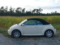 gebraucht VW Beetle 